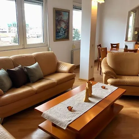 Διαμέρισμα Spacious In The City Center Of Σκόπια