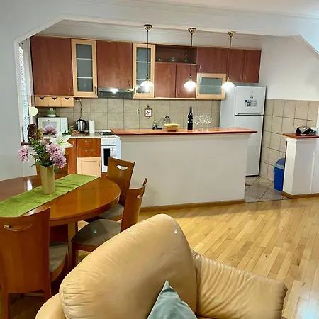 Spacious In The City Center Of Διαμέρισμα *