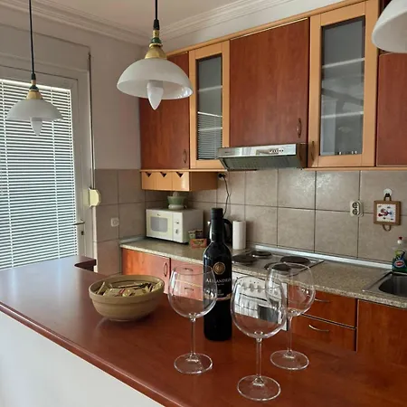 Spacious In The City Center Of Διαμέρισμα Σκόπια
